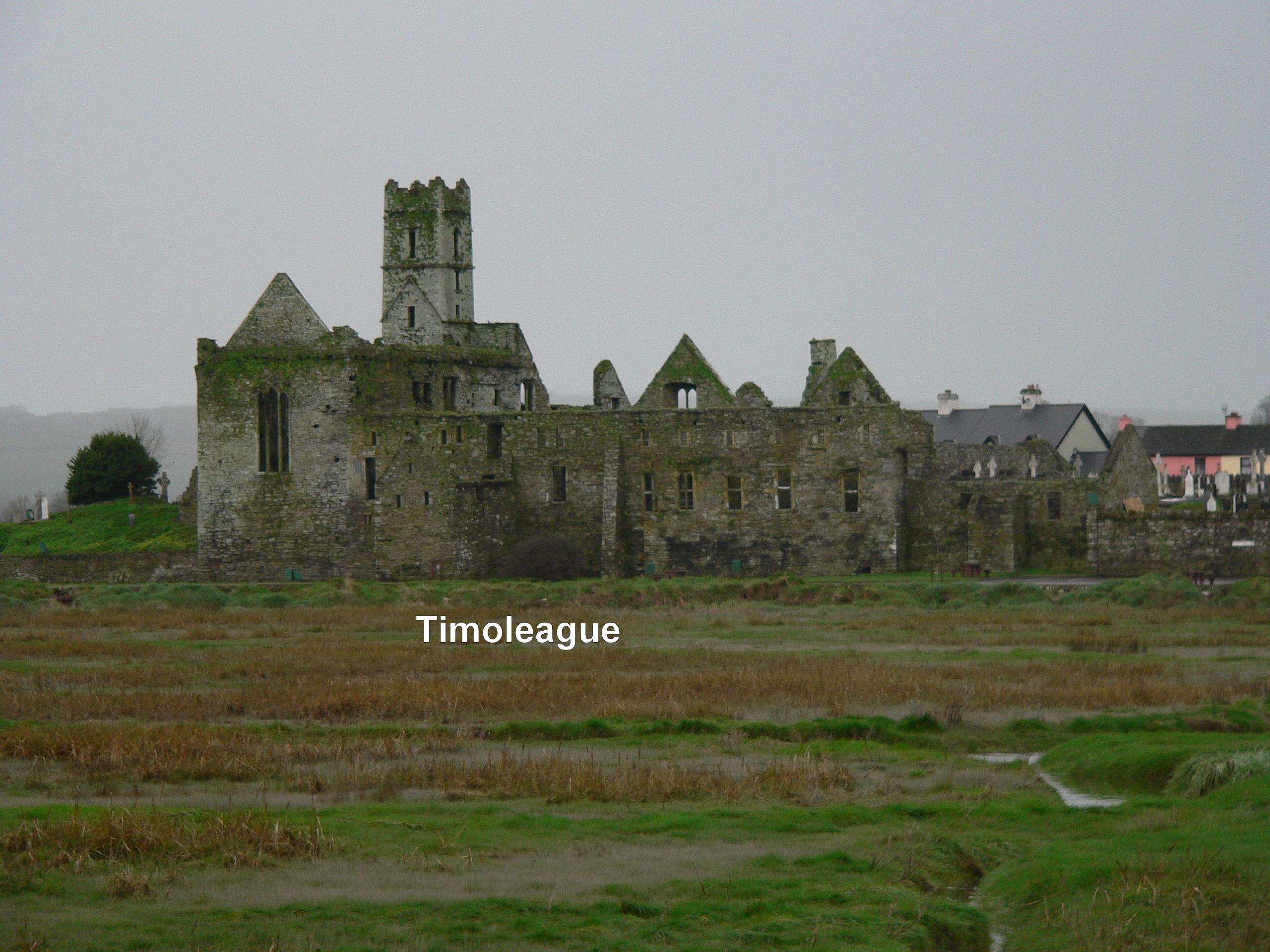 Timoleague Abbey Ruin - County Cork