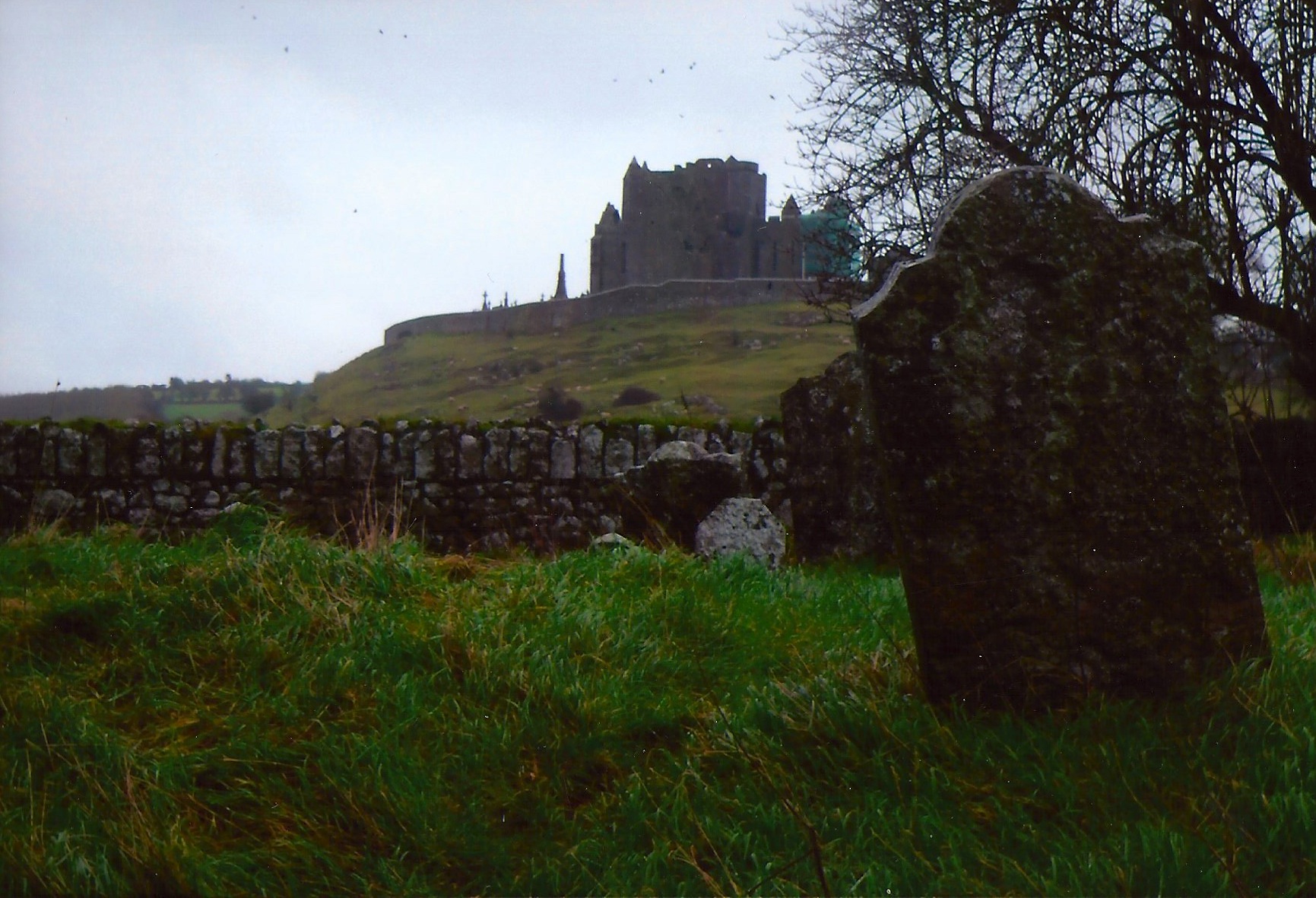 GBM-CashelHill
