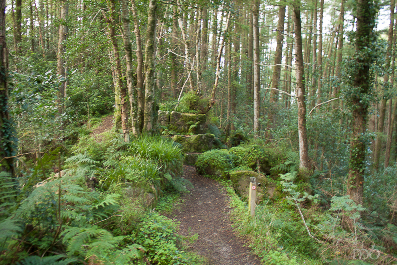 Path leading to St. Patrick's Chair