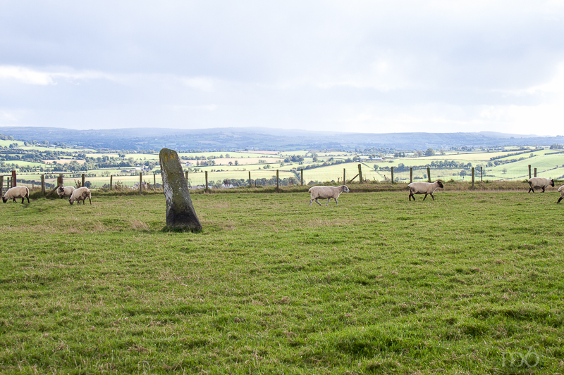 Beltany Stone Circle - Outlier