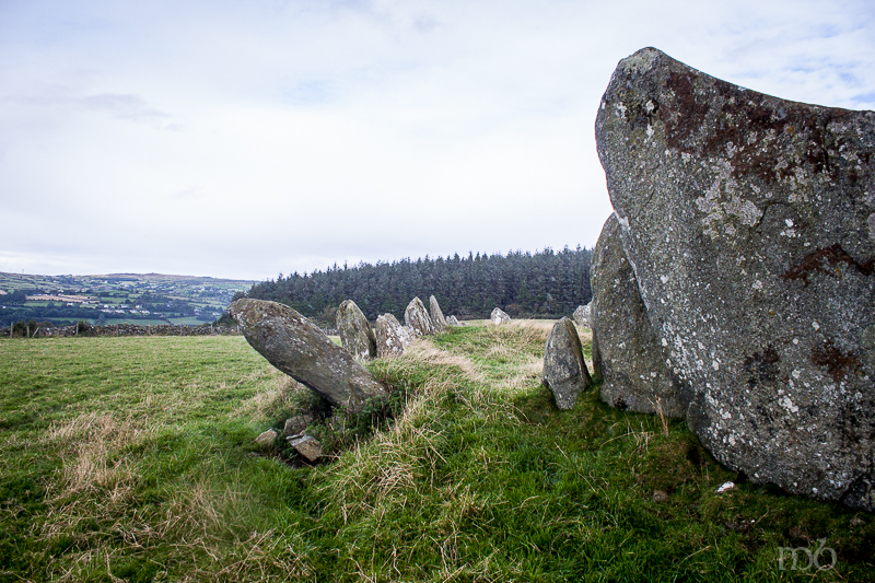 Stones from Beltany Stone Circle