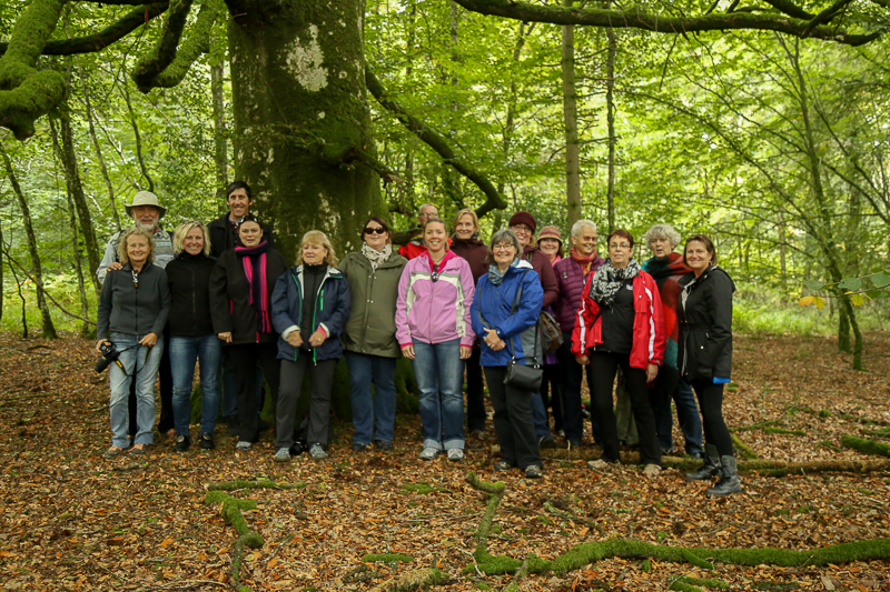 Guests from Castles, Saints & Druids - Yoga Retreat - Tomnafinnoge Woods, Wicklow