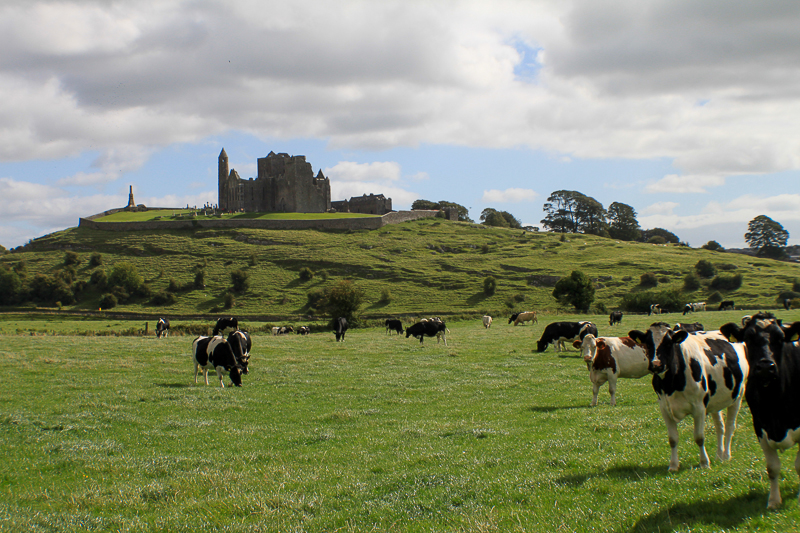 The Rock of Cashel - Tipperary