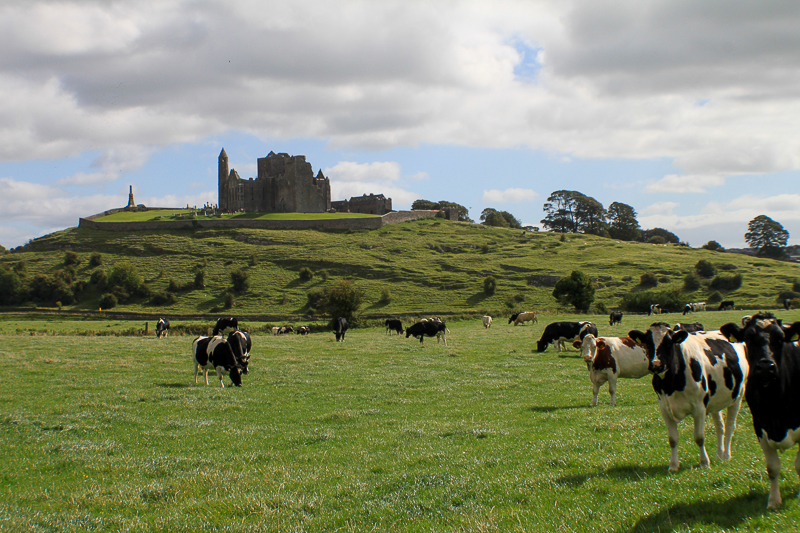 Rock of Cashel