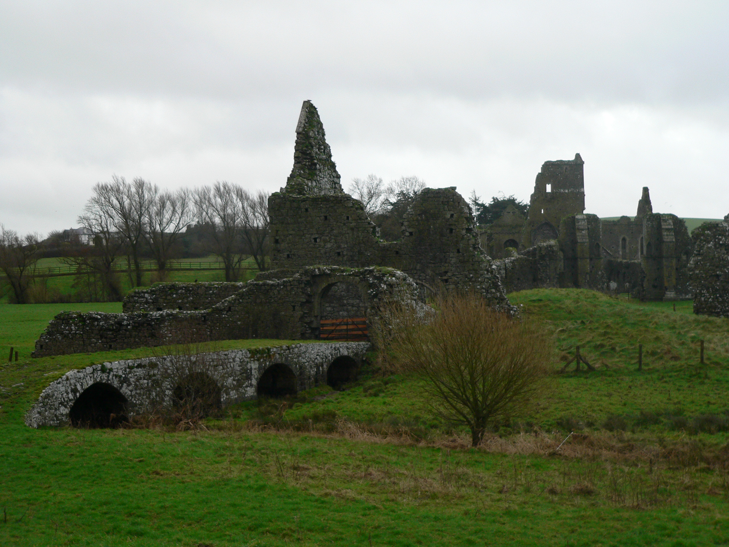 Athassel Prior bridge, gatehouse