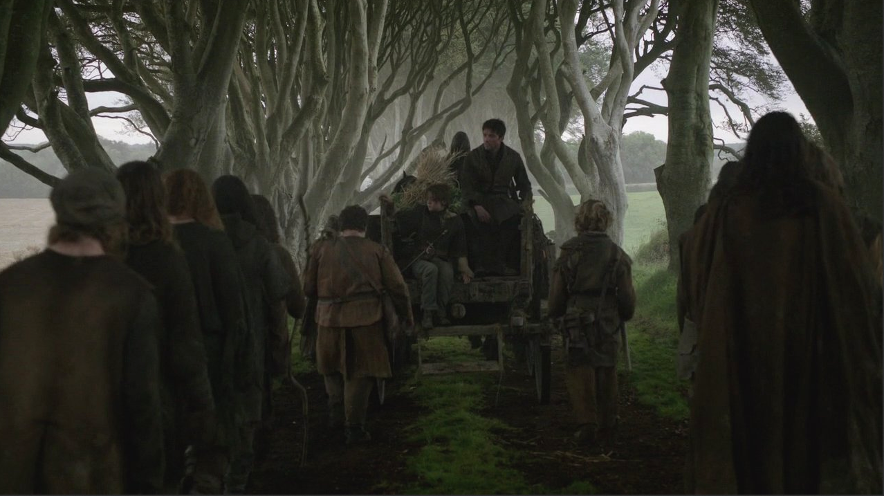 Dark Hedges - Game of Thrones