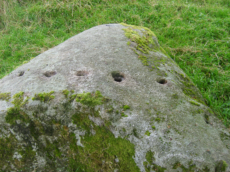 Castleruddery Bullaun Stones
