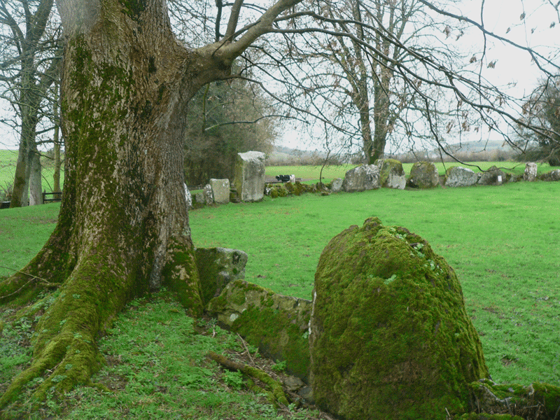 Grange Stone Circle near Lough Gur. Largest stone circle in Ireland